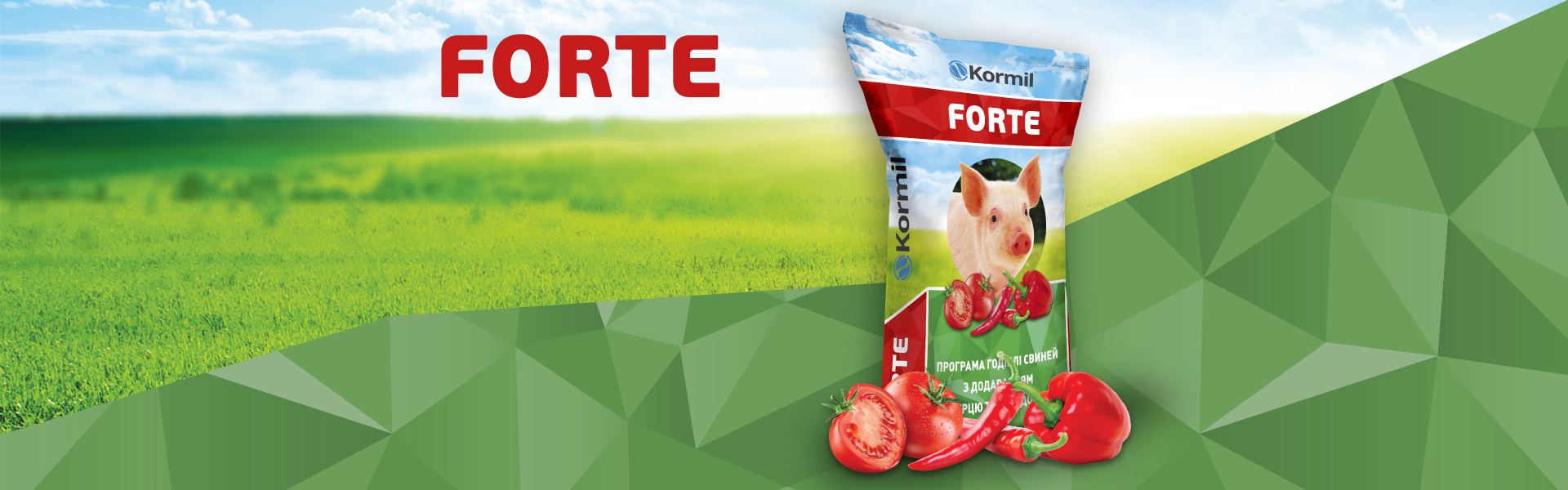 Програма FORTE